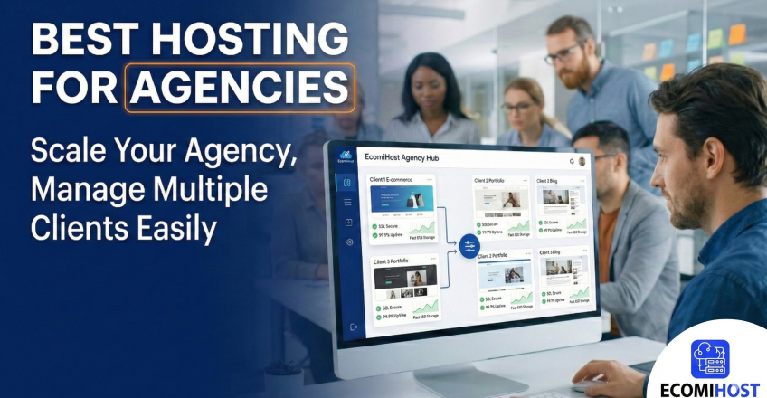Agency Web Hosting